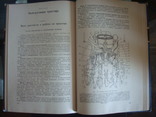 Книга СССР Трактор- ДТ-20, 1965г., фото №12