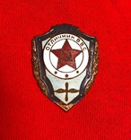 Знак «Отличник ВВС», фото №2