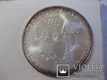 American Eagle Silver Dollar 2001, фото №6