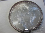 American Eagle Silver Dollar 2001, фото №7