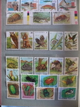 Более 400 марок фауна-флора Кубы в альбоме, фото №6