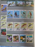 Более 400 марок фауна-флора Кубы в альбоме, фото №8