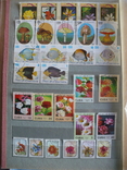 Более 400 марок фауна-флора Кубы в альбоме, фото №10