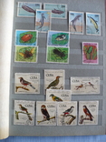 Более 400 марок фауна-флора Кубы в альбоме, фото №13