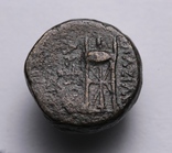 Імперія Селевкідів, ІІІ-ІІ ст.до н.е. – Тіхе / триніжок, фото №10