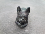 Старовинна статуетка собаки від Тімоті., фото №4