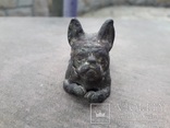 Старовинна статуетка собаки від Тімоті., фото №5