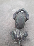 Старовинна статуетка собаки від Тімоті., фото №9
