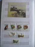 Альбом с марками MNH фауна стран Европы и Азии, фото №13
