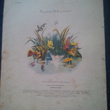 Н.Гернет. Хорошая воды. Рисунки Н.Носкович. 1961 год, фото №5