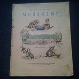 К.Чуковский. Мойдодыр. Рисунки А.Каневского. 1961 год, фото №2