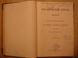 Ботанический Атлас Шуберта 1887 в пер. Н И Раевского, фото №4