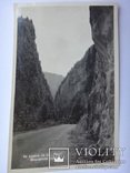 Озеро Рица (1952г.), фото №3