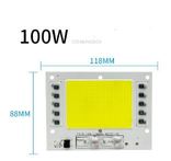 2в1 драйвер не надо 220v LED COB светодиод в прожектор лампа 100W Smart IC 100вт, фото №2