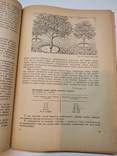 Советы садоводам и виноградарям 1967 г., фото №6