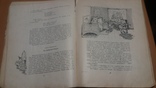 55 г. Пригоди Незнайки і його товаришів(рис.Григорьева), фото №12