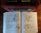 Медичний англо-український ілюстрований словник Дорланда в 2-х томах.Повний комплект!, фото №5