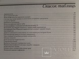 Медичний англо-український ілюстрований словник Дорланда в 2-х томах.Повний комплект!, фото №12