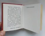  Альбом репродукции Румынская живопись 1921-1971. Библиофильское издание.(7,5x9,5 см.), фото №9