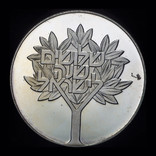 Израиль 50 лир 1978 серебро пруф 30 лет независимости, фото №2