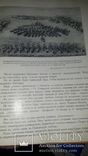 1913 Подвиг 300-летия служения России государей дома Романовых, фото №12