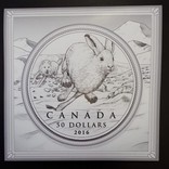 Канада 50 долларов 2016 Волк и Заяц серебро ПРУФ, фото №3