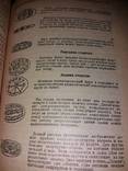 История письменности 1923. От бирки до азбуки., фото №5