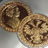 25 рублей 2004 г. (золото+серебро), фото №2