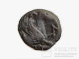 Монета Грифон и Сатир ПАN Пантикапей Боспорское царство, фото №3