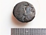 Монета Грифон и Сатир ПАN Пантикапей Боспорское царство, фото №4
