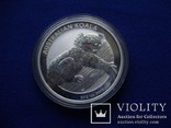 1 доллар 2012 г. Австралия Коала Серебро 999 пр.31 грамм, фото №10
