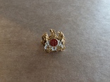 Миниатюрный знак Старинного Королевского Ордена Буйволов, фото №2