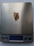 Миниатюрный знак Старинного Королевского Ордена Буйволов, фото №3