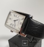 Frederique Constant Automatic FC-303/310X4C4/5/6, фото №3