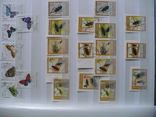 Марки флора и фауна стран мира(220 марок и 8 бл.), фото №4