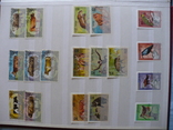 Марки флора и фауна стран мира(220 марок и 8 бл.), фото №5
