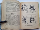 Комнатные аквариумы 1969 136 с.ил. 4 цв. вкладки., фото №7