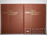 Синельников. Атлас анатомии человека. 1996 г. Том 3 и 4, фото №2