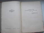 Лейтес, А.  Десять років української літератури т 2 1928 р, фото №7