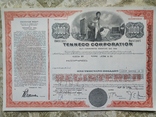 США акции, 1976г TENNECO CORPORATION №93, фото №2