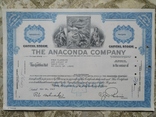 США акции, 1967г THE ANACONDA COMPANY №94, фото №2