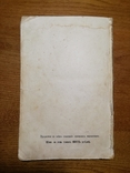 Сочинения Пушкина том II 1887г. + Бонус Лермонтов, фото №9