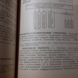 Структура континентов и океанов (терминологический справочник) 1979р., фото №6