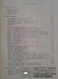 Учись кроить и шить..(М. Д. Кондратская, 1960 год).., фото №11