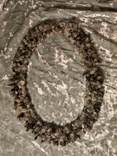 Ожерелье из натурального камня кварц-волосатик (стрела амура), фото №5
