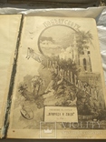 Книга 1893 года выпуска , автор Доктора Елисеева " По белу свету ", фото №2