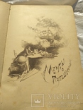 Книга 1893 года выпуска , автор Доктора Елисеева " По белу свету ", фото №9