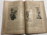 1928 Сорта винограда в долине р. Качи, Вісник садівництва, виноградарства, фото №12