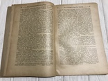 1928 Пчёлы в садоводстве, Вісник садівництва, виноградарства, фото №5