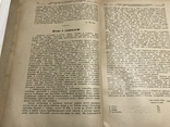 1928 Пчёлы в садоводстве, Вісник садівництва, виноградарства, фото №7